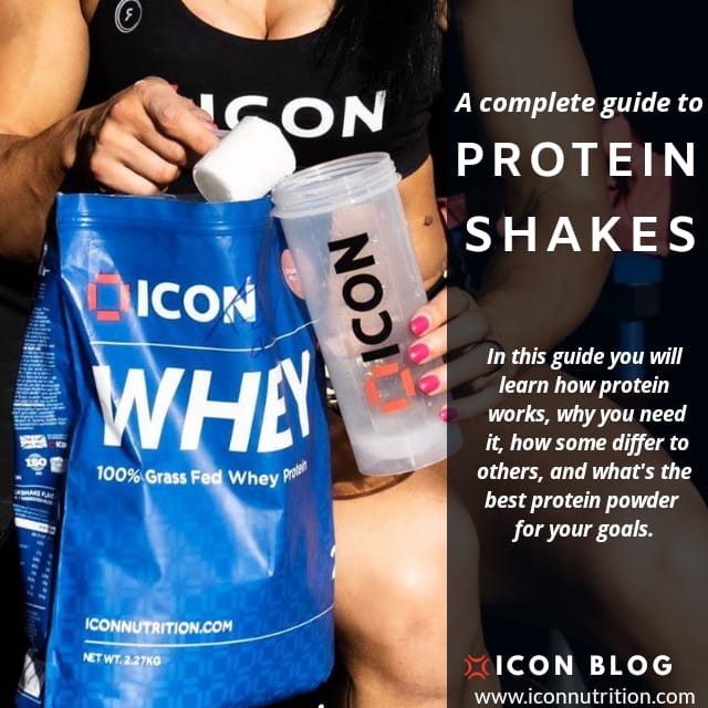 Protein Shakes Everything You Need To Know About Whey Protein Shakes