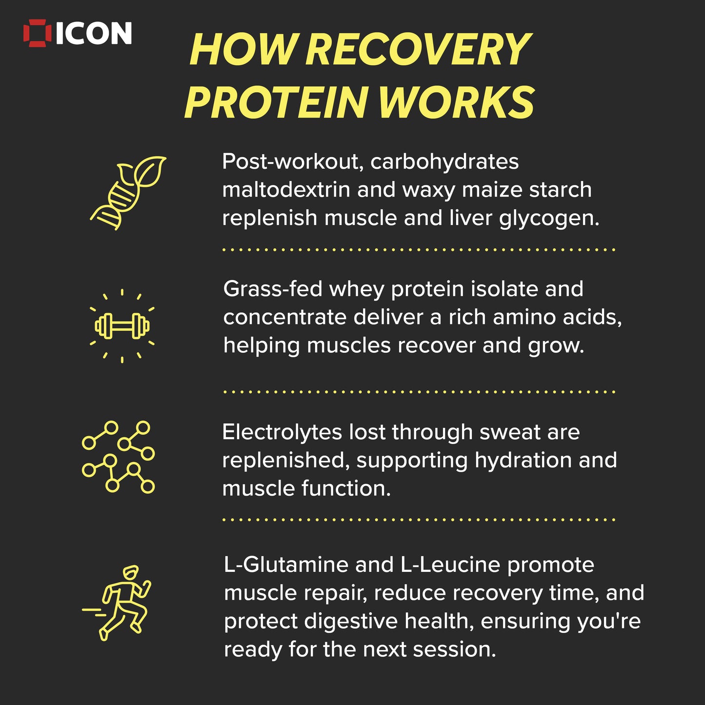 Recovery Protein 2:1 Ratio (30 Serv.)