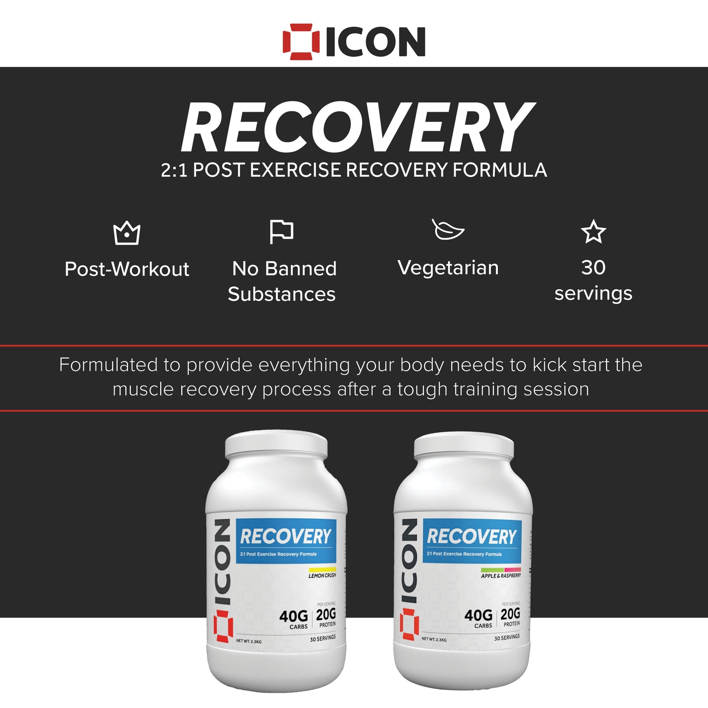 Recovery Protein 2:1 Ratio (30 Serv.)